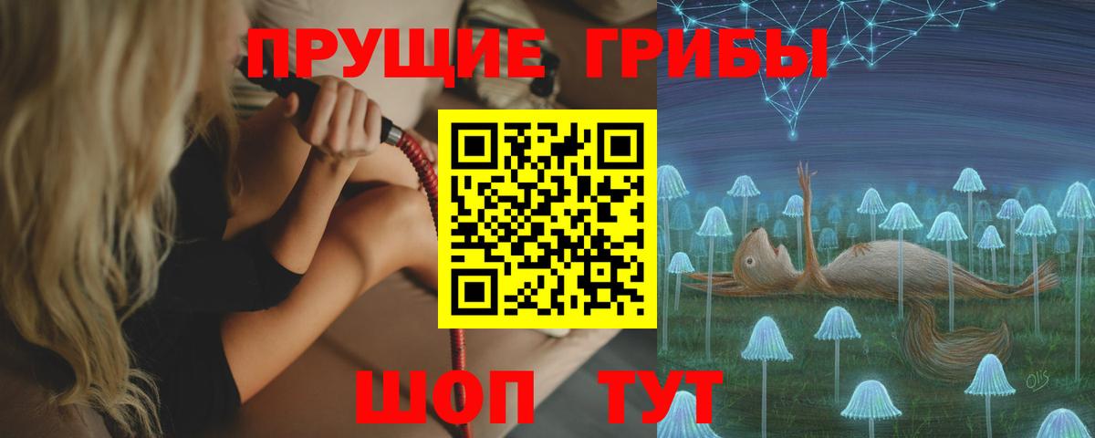 Псилоцибиновые грибы мицелий Ишим