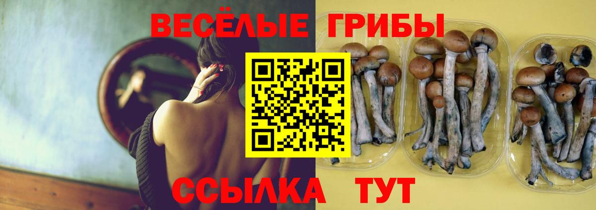 Ишим  Галлюциногенные грибы мухоморы  Галлюциногенные грибы Magic Shrooms  Вход с VPN 